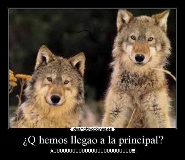 ¿Q hemos llegao a la principal? - 