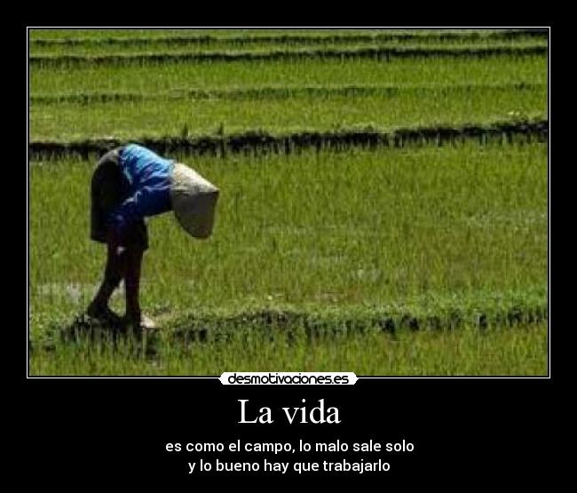 La vida -