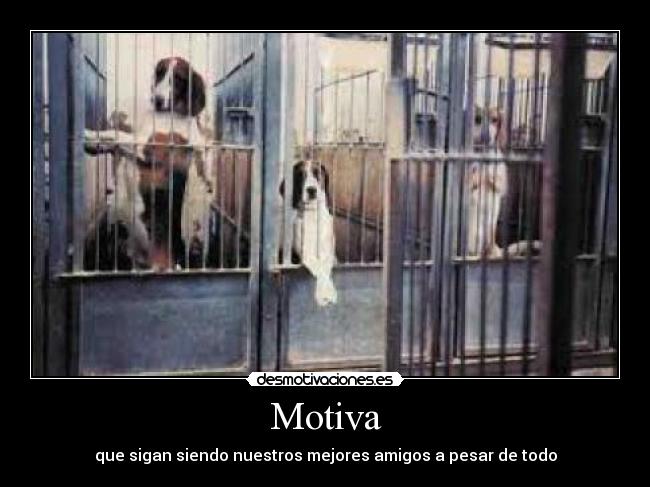 Motiva - que sigan siendo nuestros mejores amigos a pesar de todo