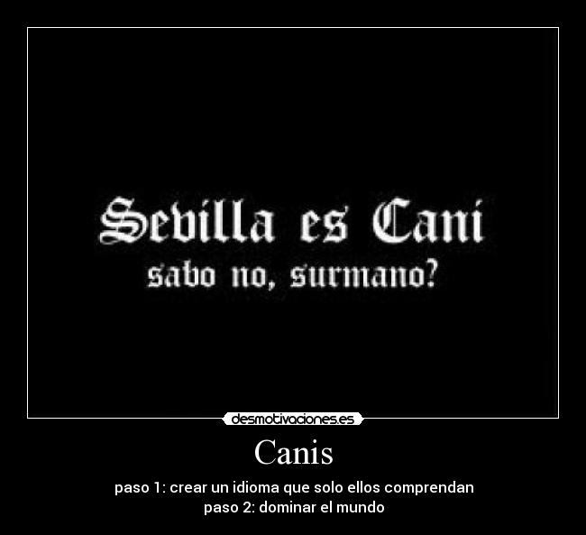 Canis - 