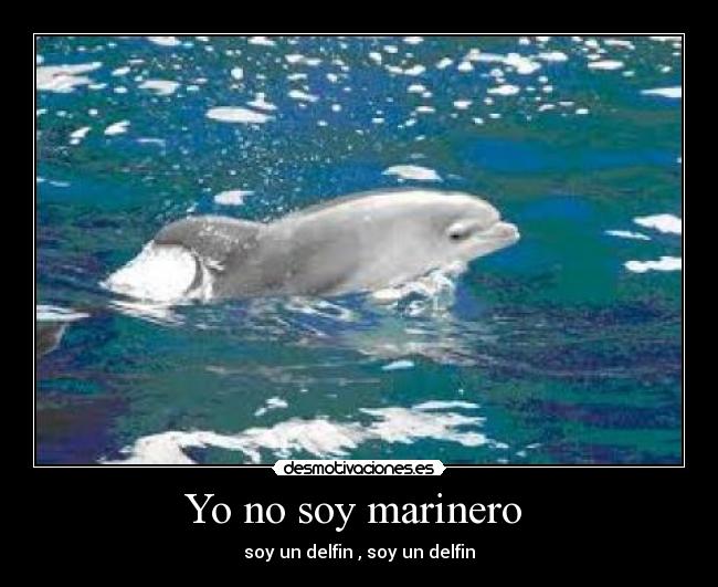 Yo no soy marinero  - 