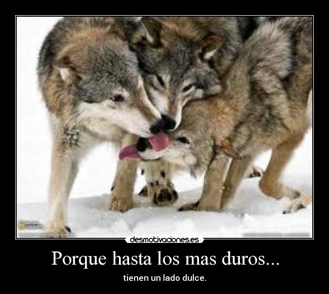 Porque hasta los mas duros... - 