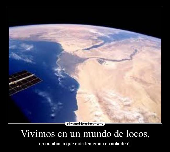 Vivimos en un mundo de locos, - en cambio lo que más tememos es salir de él.