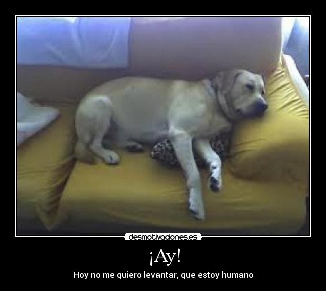 ¡Ay! - Hoy no me quiero levantar, que estoy humano