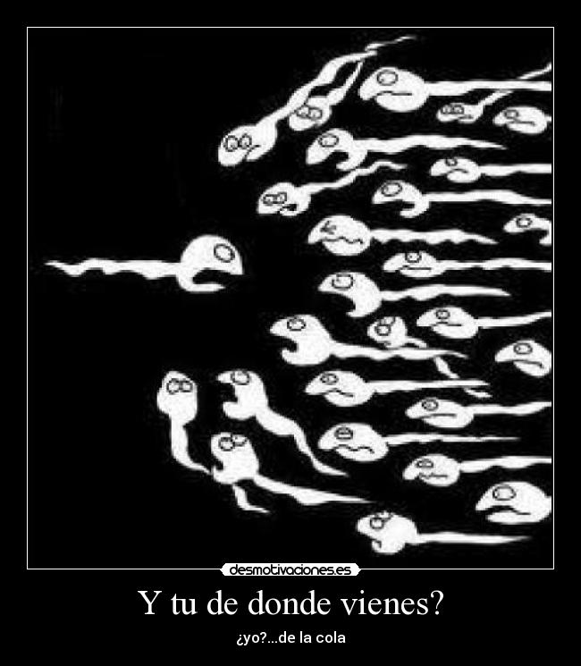 Y tu de donde vienes? -