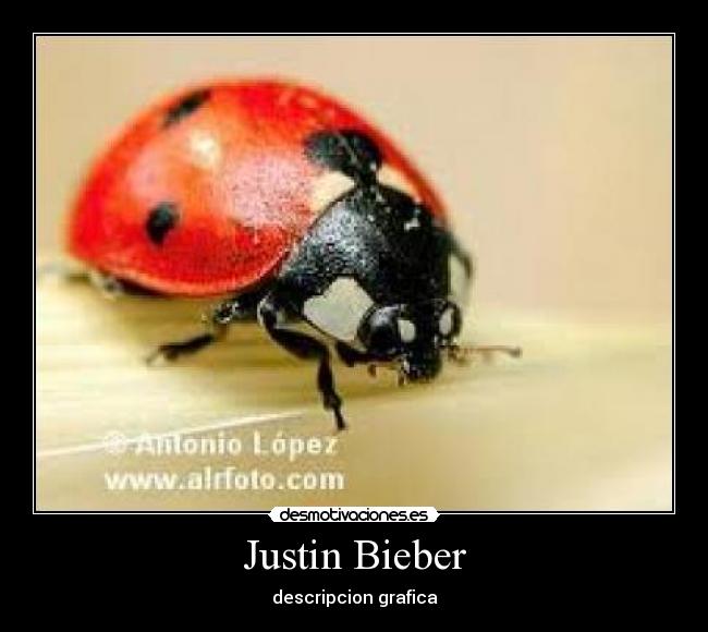 Justin Bieber - 
