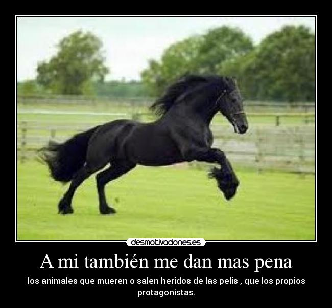 A mi también me dan mas pena - los animales que mueren o salen heridos de las pelis , que los propios protagonistas.