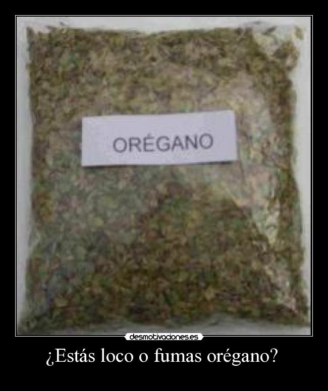 ¿Estás loco o fumas orégano?  - 