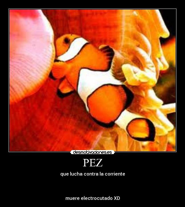 PEZ - que lucha contra la corriente



muere electrocutado XD