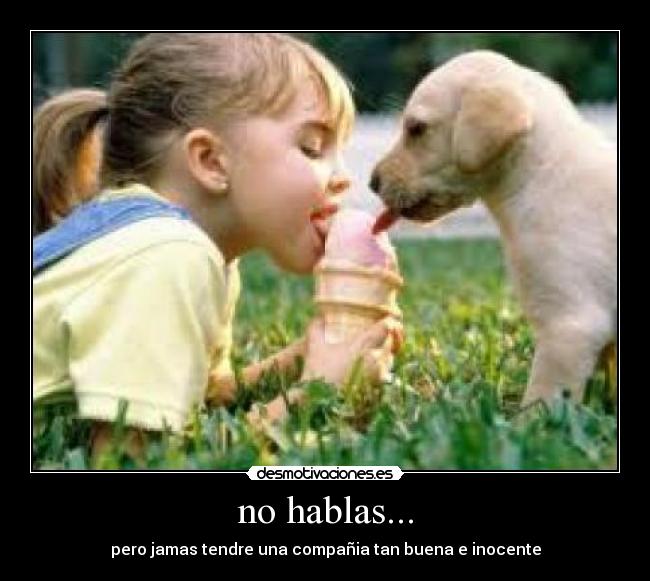 no hablas... - pero jamas tendre una compañia tan buena e inocente