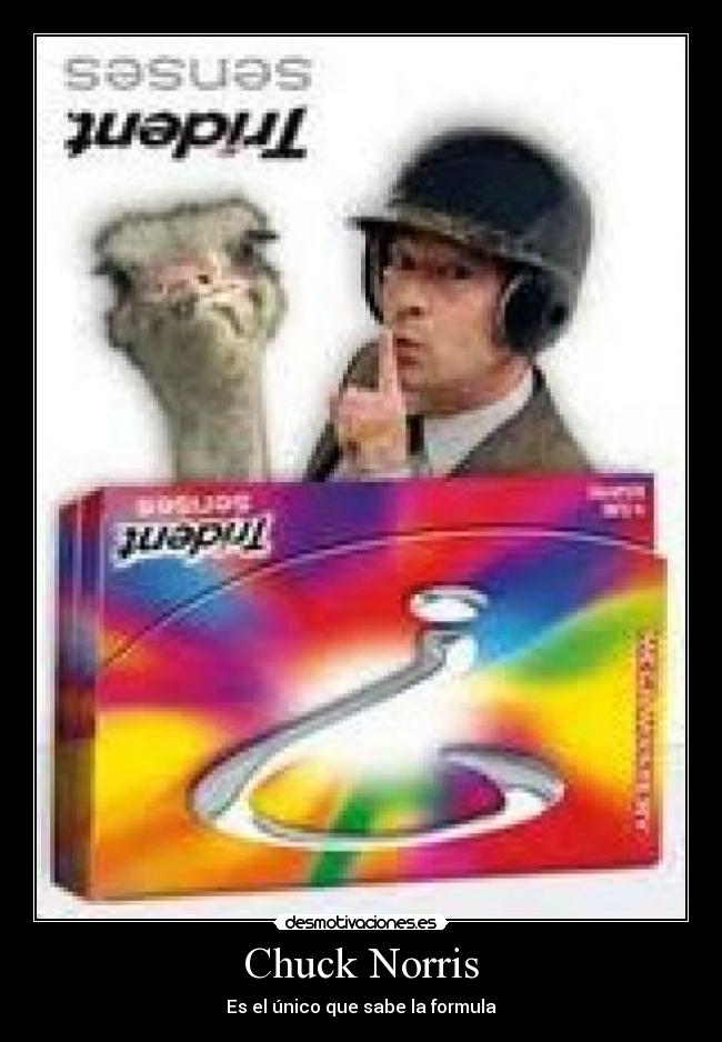 Chuck Norris -
