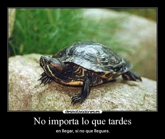 No importa lo que tardes -