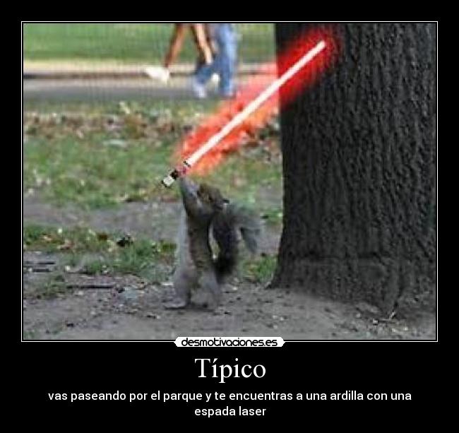Típico - vas paseando por el parque y te encuentras a una ardilla con una espada laser
