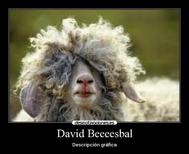 David Beeeesbal - 