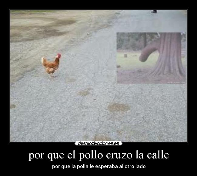 por que el pollo cruzo la calle Desmotivaciones