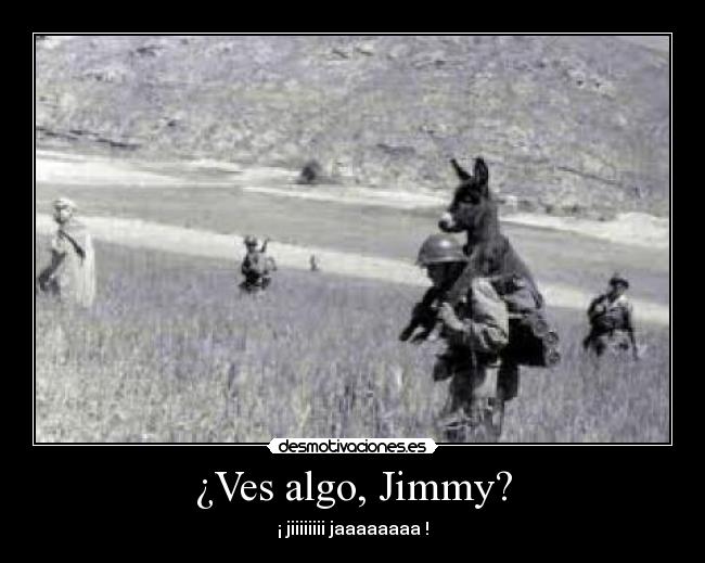 ¿Ves algo, Jimmy? - ¡ jiiiiiiii jaaaaaaaa !