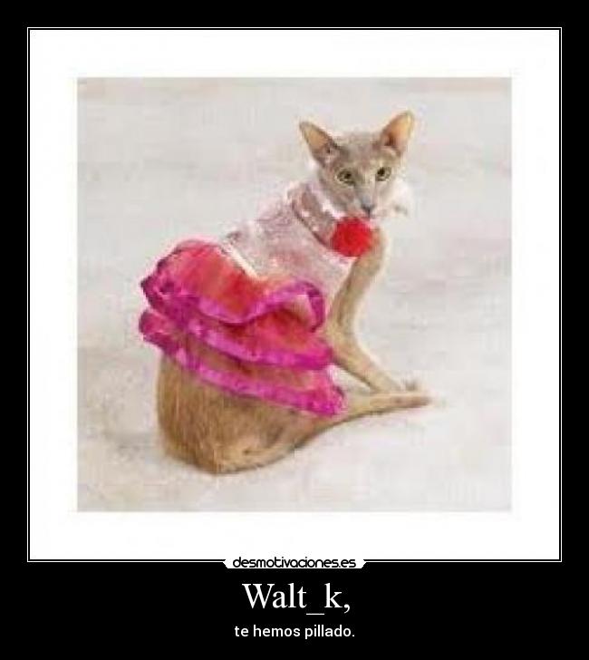 Walt_k, - te hemos pillado.