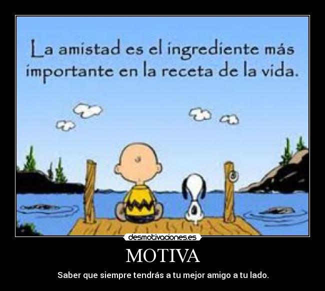 MOTIVA - 