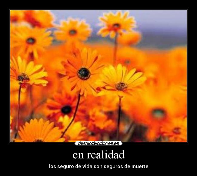 en realidad -