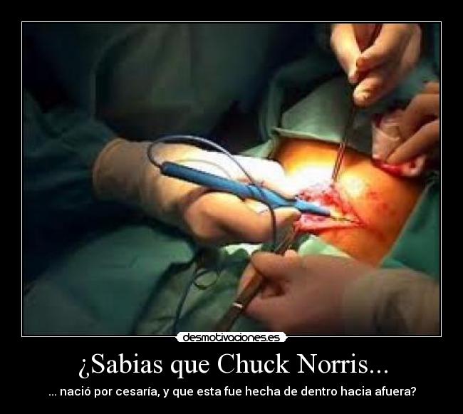 ¿Sabias que Chuck Norris... - 