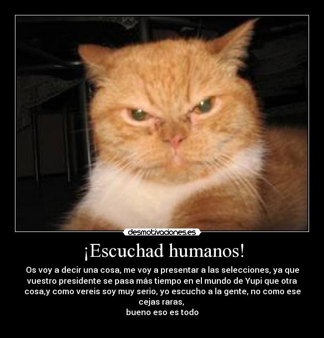 ¡Escuchad humanos! - 