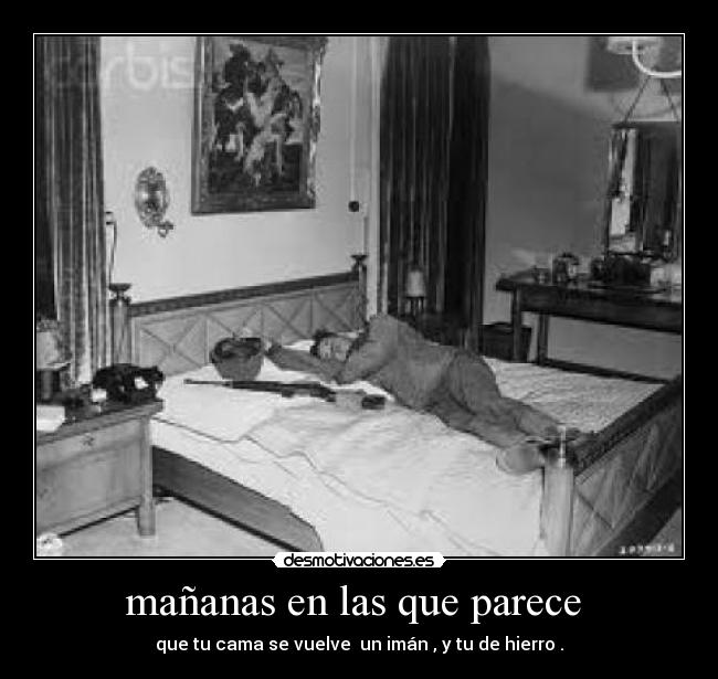 mañanas en las que parece  - 