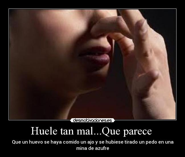 Huele tan mal...Que parece  - 