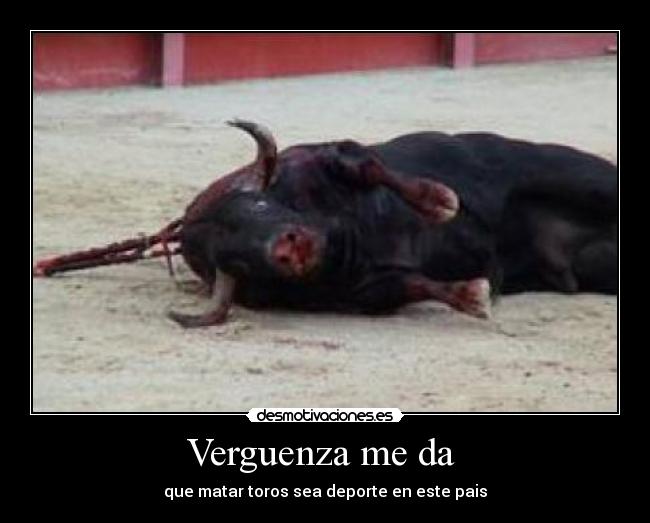 Verguenza me da  - 