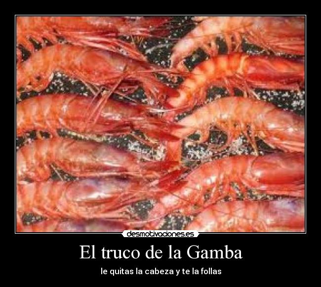 El truco de la Gamba - le quitas la cabeza y te la follas