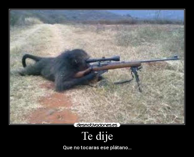 Te dije - Que no tocaras ese plátano...