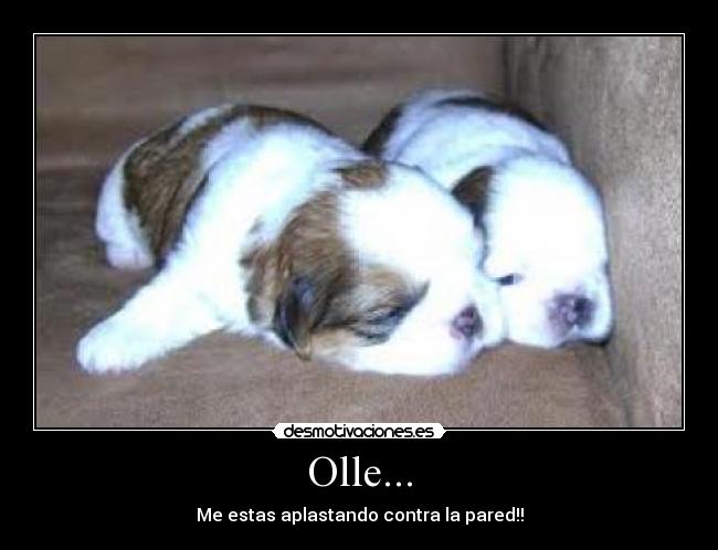 Olle... - 