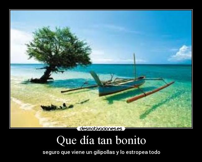 Que día tan bonito -