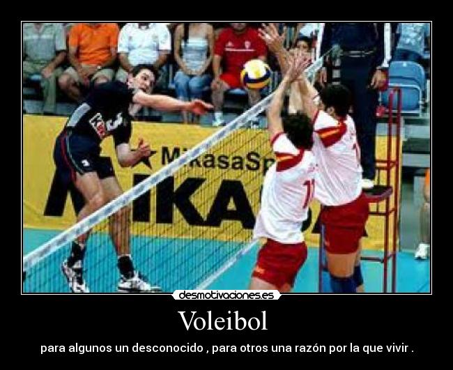 Voleibol -