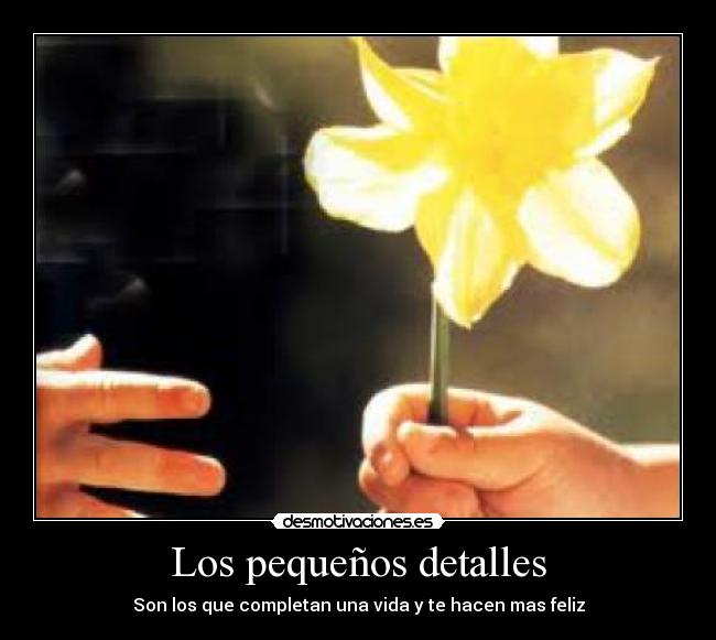 Los pequeños detalles - Son los que completan una vida y te hacen mas feliz