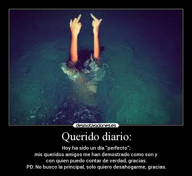 Querido diario: - Hoy ha sido un día perfecto;
mis queridos amigos me han demostrado como son y
con quien puedo contar de verdad, gracias.
PD: No busco la principal, solo quiero desahogarme, gracias.