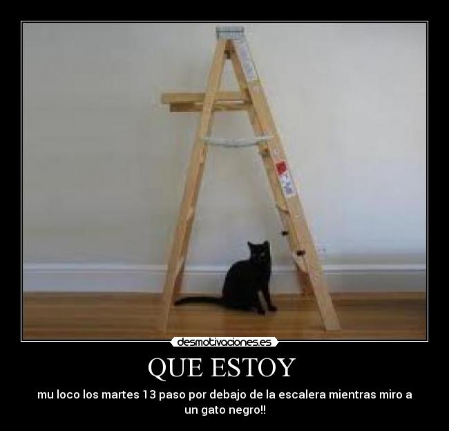 QUE ESTOY - mu loco los martes 13 paso por debajo de la escalera mientras miro a un gato negro!!