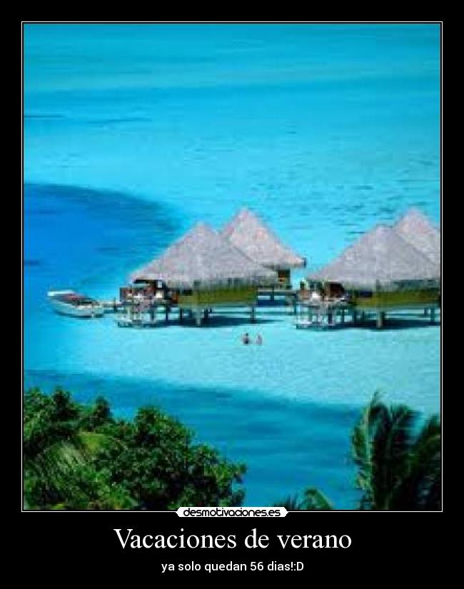 Vacaciones de verano - 