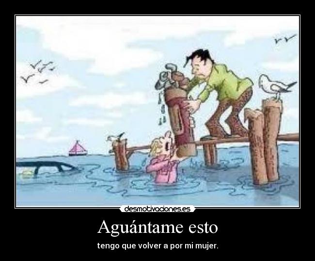 carteles coche hundido desmotivaciones