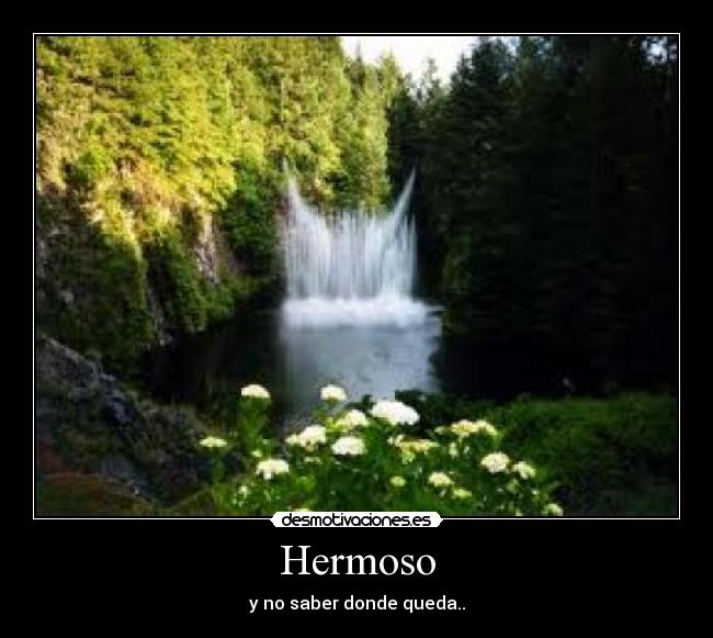 Hermoso - 