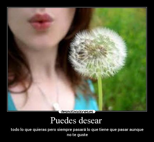 Puedes desear  - 