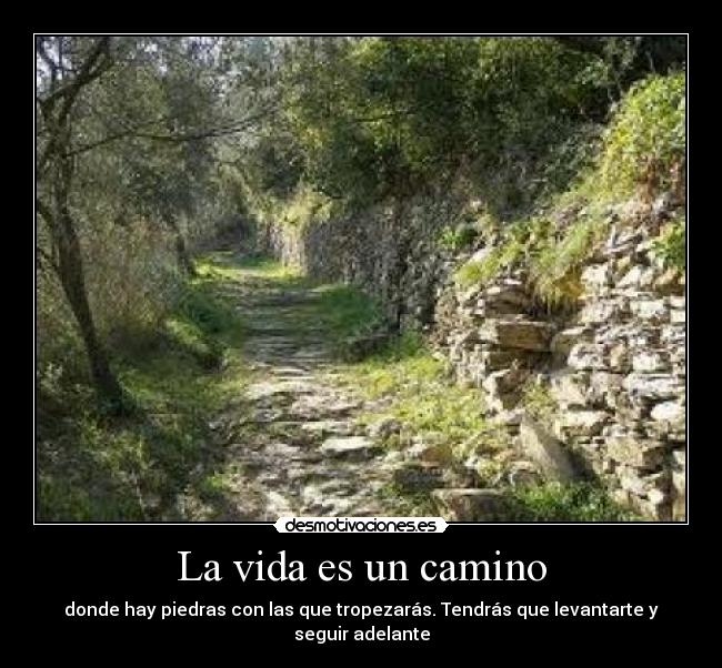 La vida es un camino - 