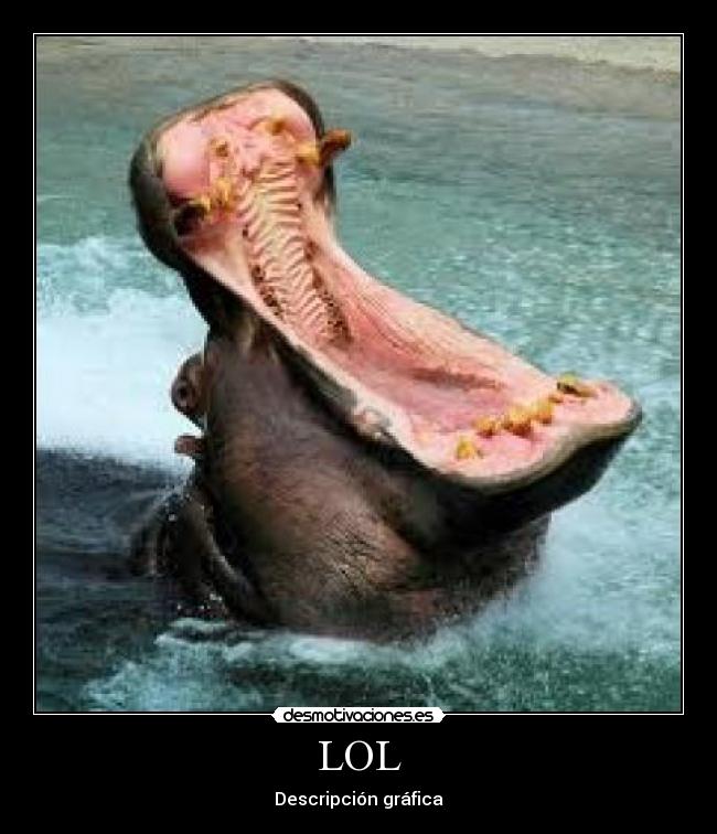 LOL -