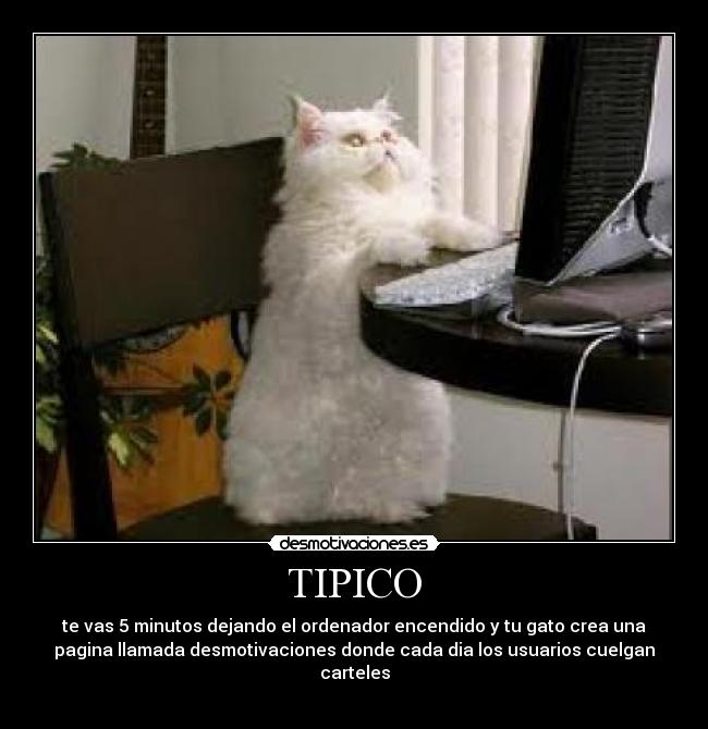 TIPICO - te vas 5 minutos dejando el ordenador encendido y tu gato crea una
pagina llamada desmotivaciones donde cada dia los usuarios cuelgan
carteles