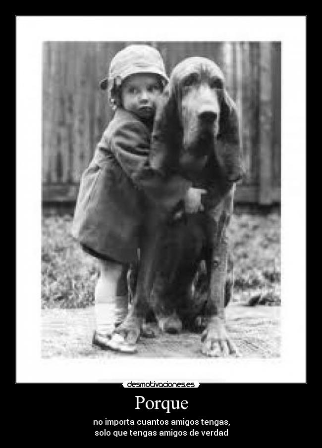 Porque - no importa cuantos amigos tengas,
solo que tengas amigos de verdad