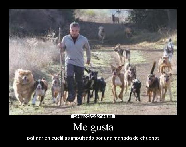 Me gusta - patinar en cuclillas impulsado por una manada de chuchos