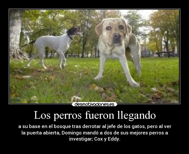 Los perros fueron llegando - 