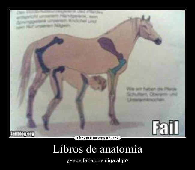 Libros de anatomía - 