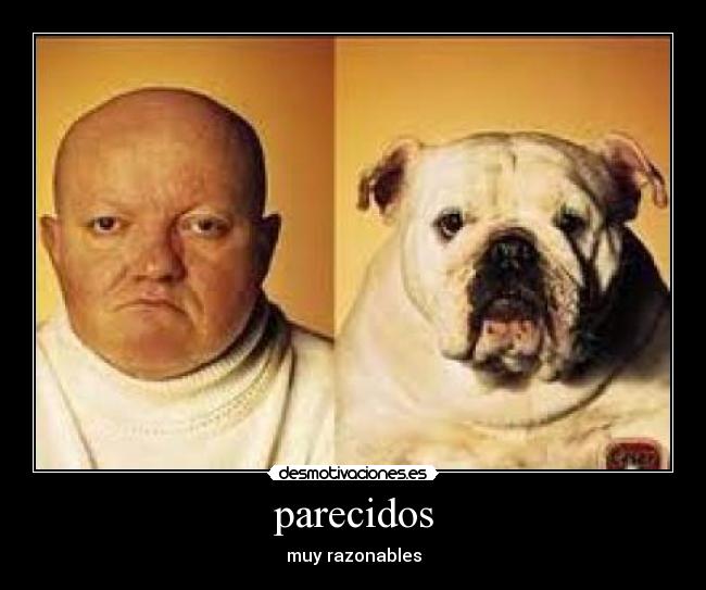 parecidos - muy razonables