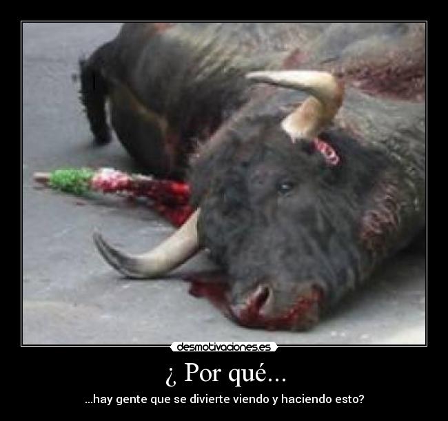 ¿ Por qué... - ...hay gente que se divierte viendo y haciendo esto?