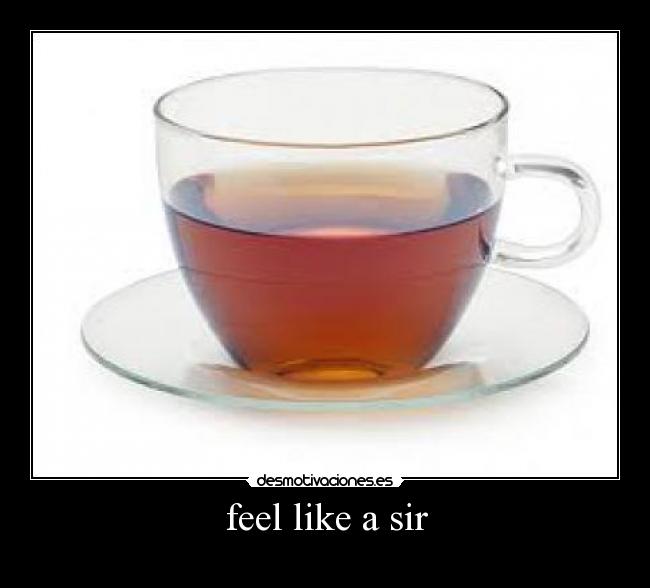 feel like a sir - 